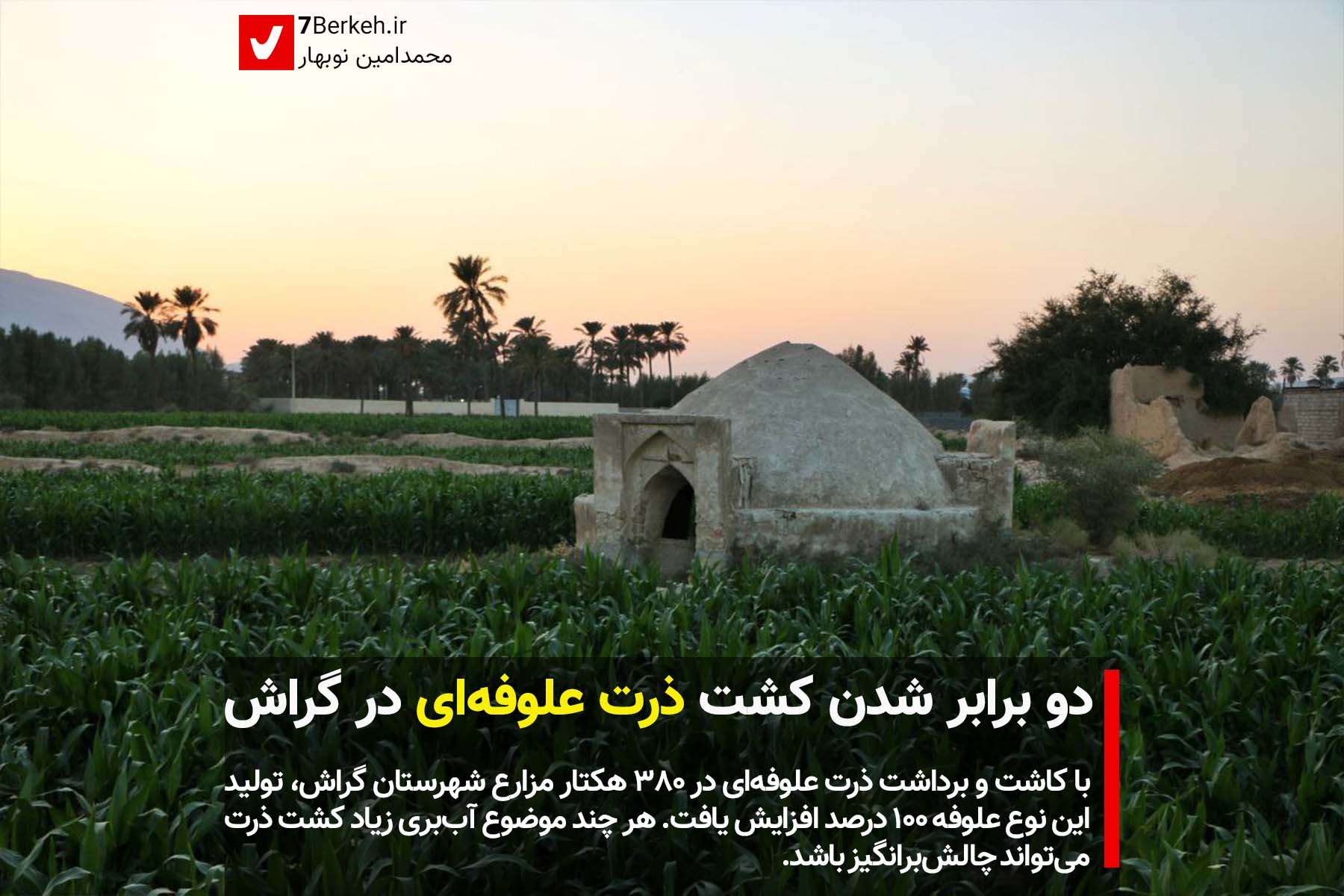 zorat3 دو برابر شدن کشت ذرت علوفهای در گراش