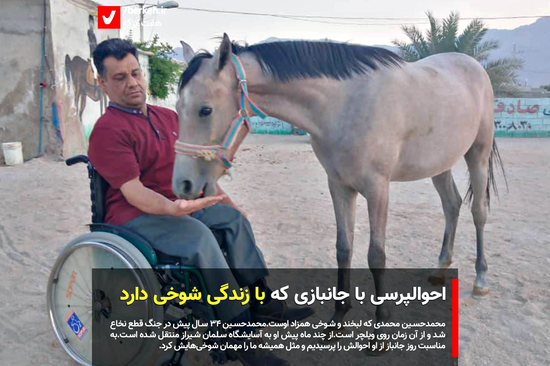 mohamadi2