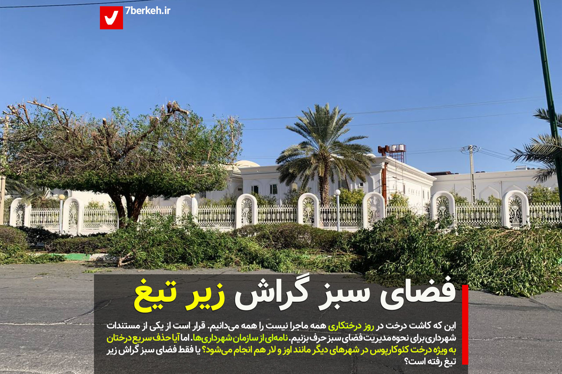 derakht فضای سبز گراش زیر تیغ : کویتی مضرر یا مفید؟