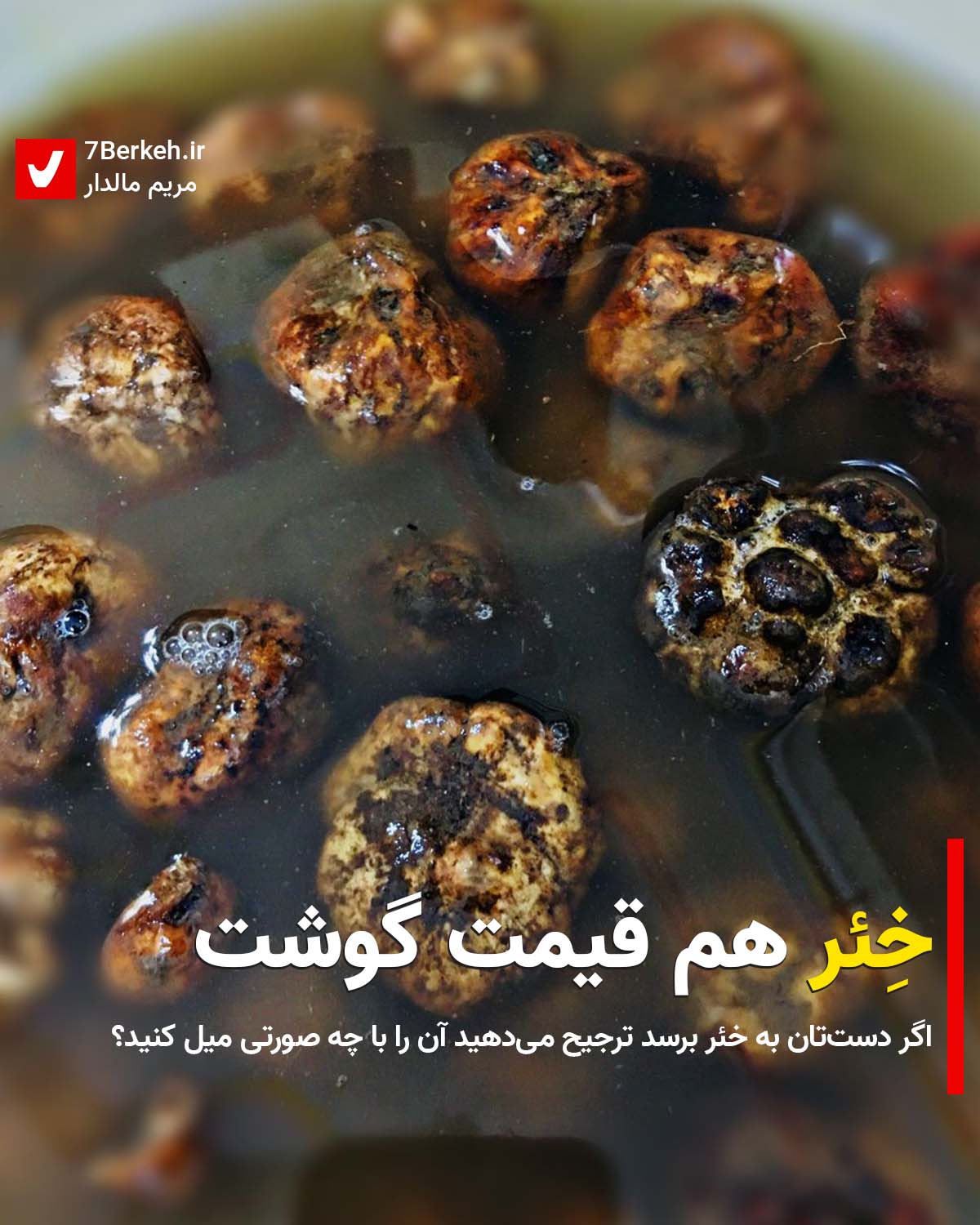 kher 11 از گشت گروتر وله از گشت نه خشتر