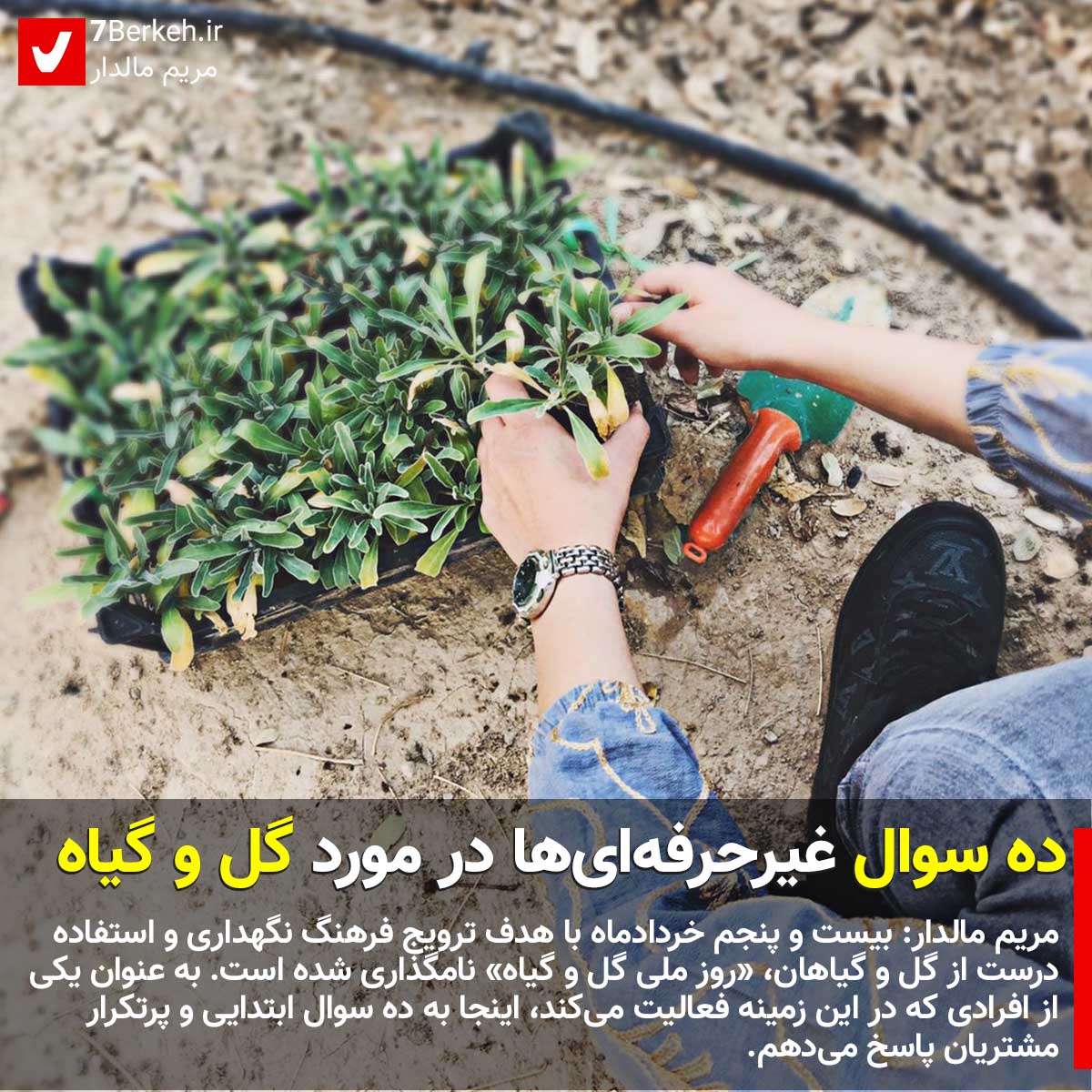 ده سوال غیرحرفه‌ای‌ها در مورد گل و گیاه