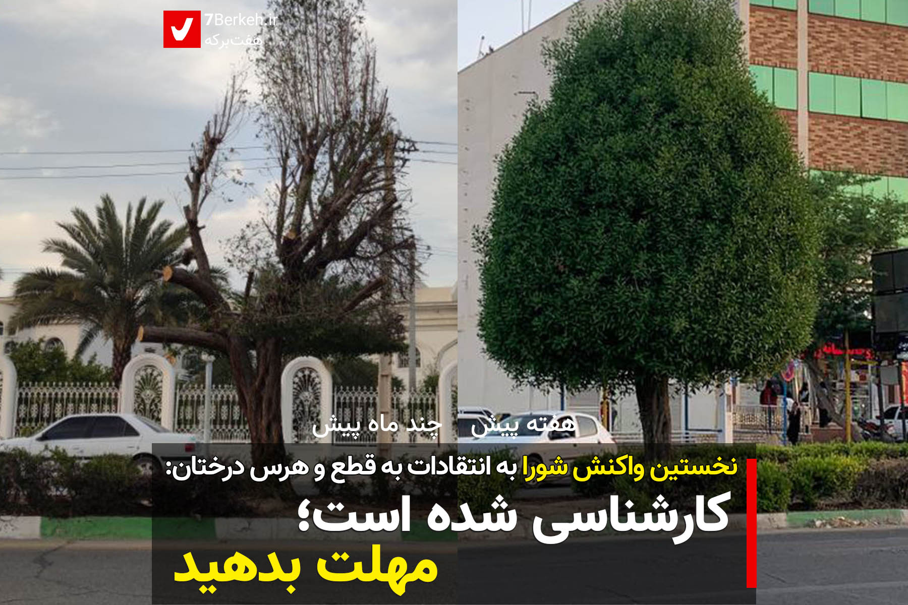 هرس درختان کارشناسی شده است؛ مهلت بدهید