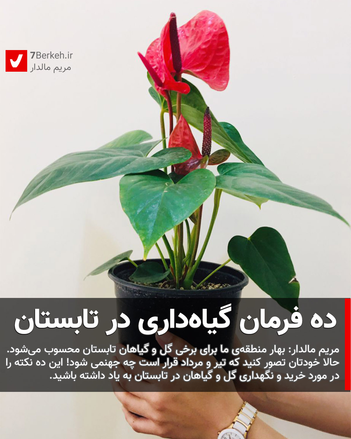 ده فرمان گیاه‌داری در تابستان