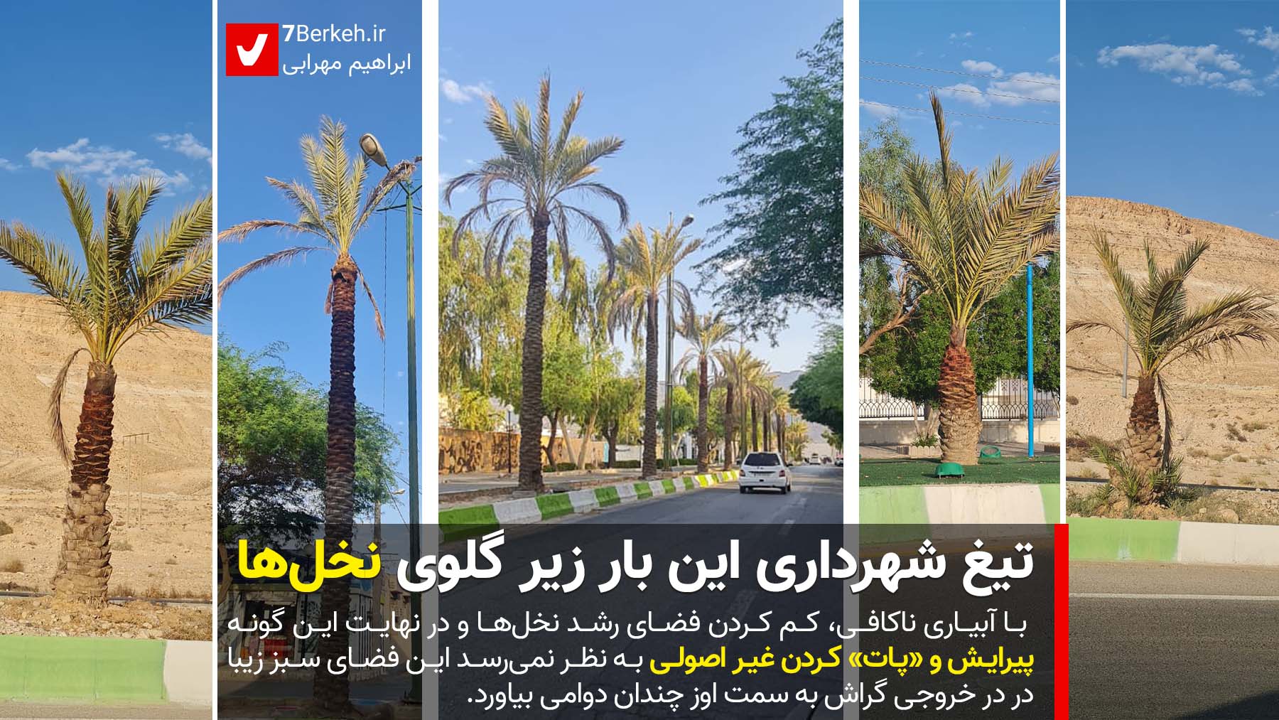 Nakhl - Fasil تیغ شهرداری این بار زیر گلوی نخلها