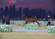 14020922 Asb Arabi Qatar 12