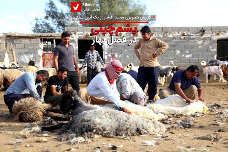 14040126 Pashm chini 1