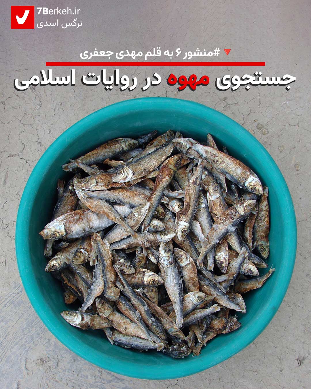 منشور ۶: جستجوی مهوه در روایات اسلامی