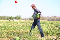 Hendavaneh Jaliz Tabestan 5