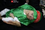 Shirkharegan 01 11