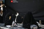 Shirkharegan 01 8