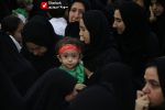 Shirkharegan 01 9