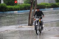 14040424 Baran Varzi 5