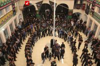 14040424 Gaptaria Pourkarimi 15