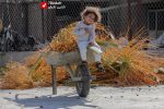 Khorma Fasil 2