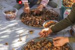 Khorma Fasil 4