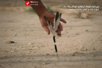 14040710 Sahrow 10 Dart 3