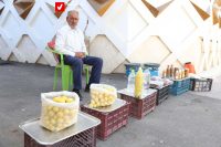 Gaptaria Ali Baba Pezeshk 13