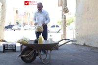 Gaptaria Ali Baba Pezeshk 7