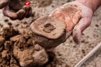 Sahrow 12 Shalbazi 10