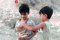 Sahrow 12 Shalbazi 11