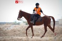 14040919 Savarkari 10