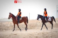 14040919 Savarkari 11