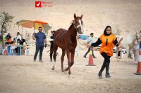 14040919 Savarkari 14