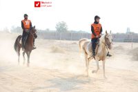 14040919 Savarkari 15