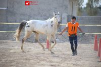 14040919 Savarkari 2