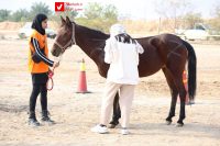 14040919 Savarkari 9