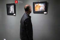 14041010 Namayeshgah 2 Chashm 17