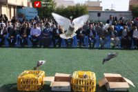 14041113 Iranemun Salimi 13